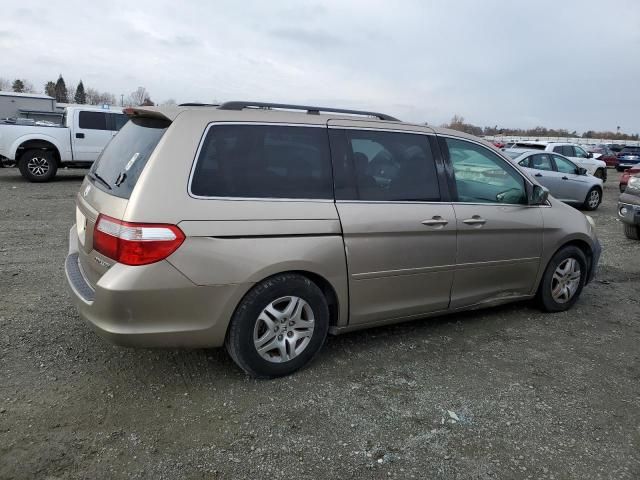 2005 Honda Odyssey EXL