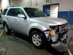 2010 Ford Escape Limited