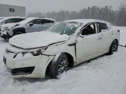 Salvage cars for sale at auction: 2011 KIA Optima EX