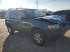 2006 Ford Escape XLT