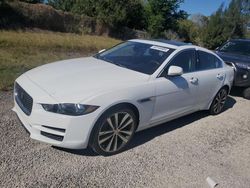 Jaguar salvage cars for sale: 2019 Jaguar XE Prestige