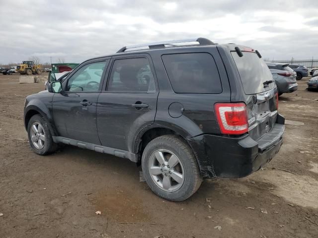 2012 Ford Escape Limited