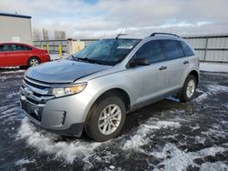 Salvage cars for sale at Airway Heights, WA auction: 2014 Ford Edge SE