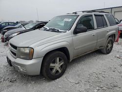 2007 Chevrolet Trailblazer LS en venta en Wayland, MI