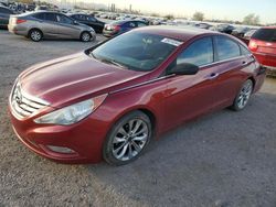 Salvage cars for sale at Tucson, AZ auction: 2011 Hyundai Sonata SE