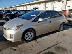 Toyota Prius salvage cars for sale: 2010 Toyota Prius