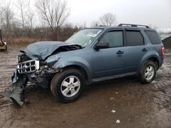 Salvage cars for sale from Copart Columbia Station, OH: 2012 Ford Escape XLT