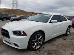 Salvage cars for sale at Littleton, CO auction: 2013 Dodge Charger SE