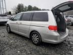 2008 Honda Odyssey EXL