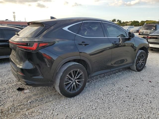 2024 Lexus NX 250 Base