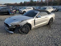 Salvage cars for sale from Copart Memphis, TN: 2019 Ford Mustang