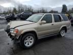 2002 Nissan Pathfinder LE