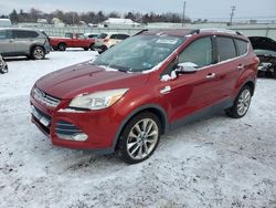 Salvage cars for sale at Pennsburg, PA auction: 2015 Ford Escape SE