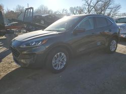 Salvage cars for sale at Wichita, KS auction: 2020 Ford Escape SE