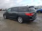 2019 Honda Odyssey EXL