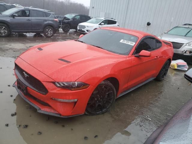 2019 Ford Mustang