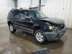 2005 Ford Escape XLS