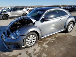 Volkswagen Beetle Vehiculos salvage en venta: 2019 Volkswagen Beetle S