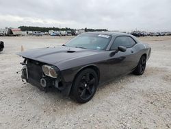 Dodge salvage cars for sale: 2013 Dodge Challenger SXT