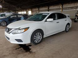 Salvage cars for sale at Phoenix, AZ auction: 2016 Nissan Altima 2.5