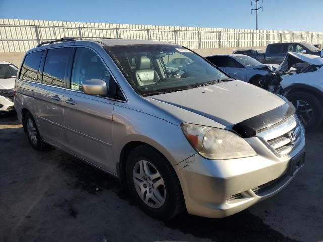 2005 Honda Odyssey EXL