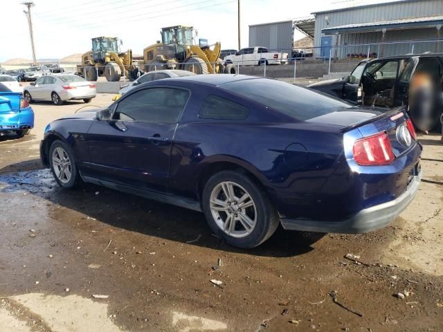 2010 Ford Mustang