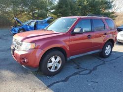 Salvage cars for sale from Copart Exeter, RI: 2012 Ford Escape XLT