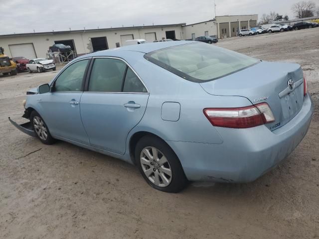 2009 Toyota Camry Hybrid