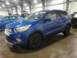 Salvage cars for sale at Ham Lake, MN auction: 2017 Ford Escape SE