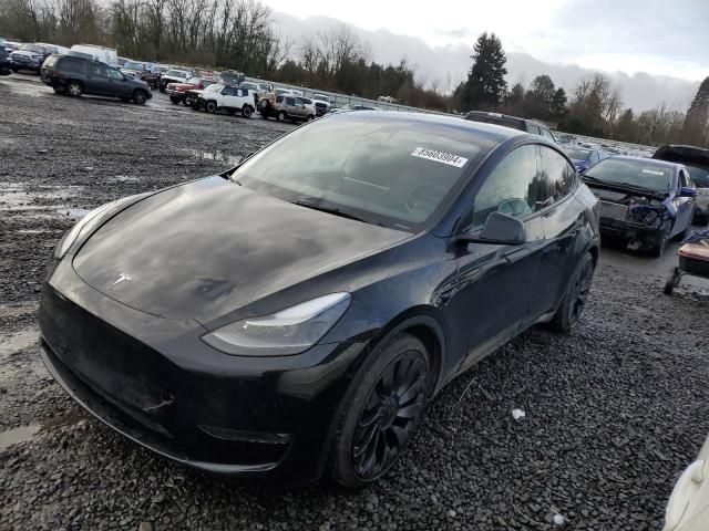 2022 Tesla Model Y