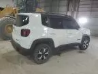 2019 Jeep Renegade Trailhawk