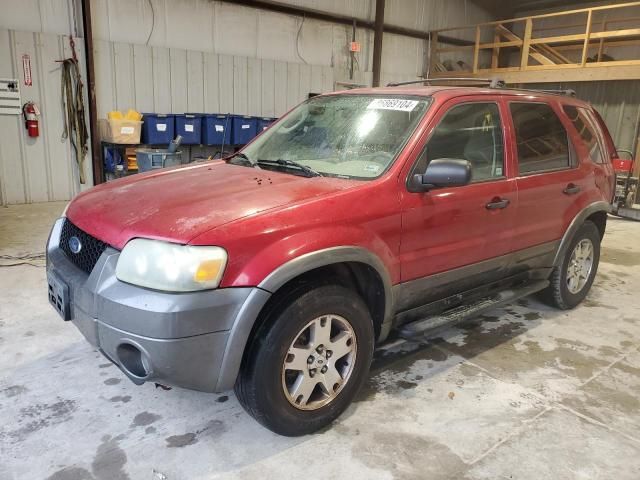 2005 Ford Escape XLT