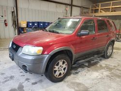 Salvage cars for sale at Sikeston, MO auction: 2005 Ford Escape XLT