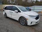 2024 Honda Odyssey EXL