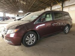 Honda salvage cars for sale: 2015 Honda Odyssey EXL