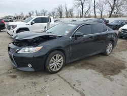 Salvage cars for sale at Bridgeton, MO auction: 2014 Lexus ES 350