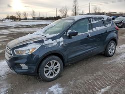 Salvage cars for sale at Montreal Est, QC auction: 2019 Ford Escape SE