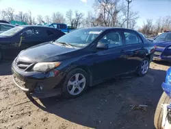 Salvage cars for sale at Baltimore, MD auction: 2011 Toyota Corolla Base