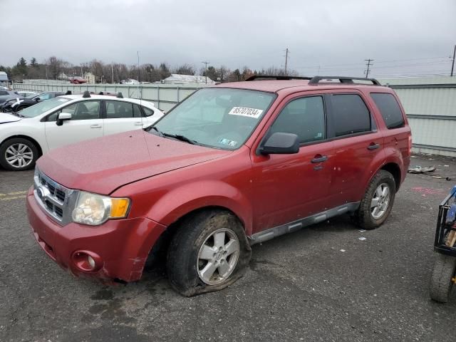 2012 Ford Escape XLT