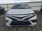 2023 Toyota Camry TRD