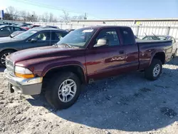 2003 Dodge Dakota SLT en venta en Walton, KY