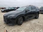 2024 Lexus NX 350H Base