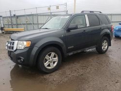 Ford Vehiculos salvage en venta: 2008 Ford Escape HEV