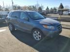 2007 Hyundai Santa FE SE