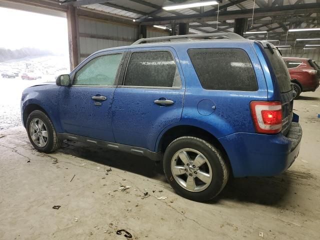 2012 Ford Escape XLT