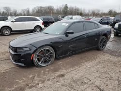 Salvage cars for sale at Chalfont, PA auction: 2015 Dodge Charger R/T