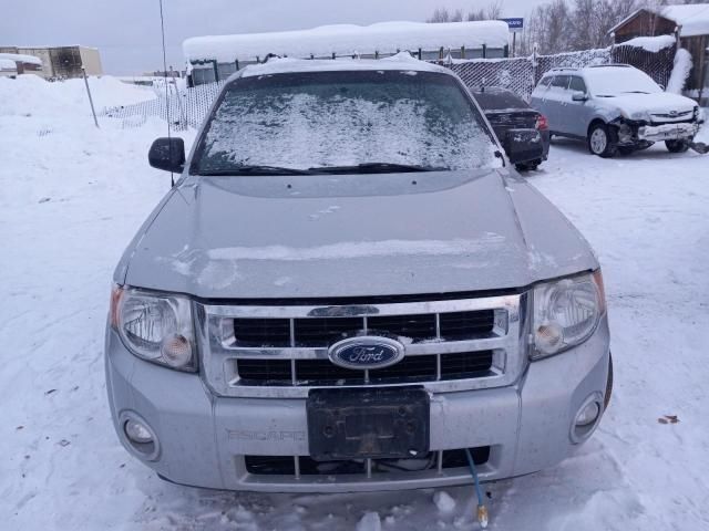 2008 Ford Escape XLT