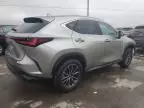 2025 Lexus NX 250 Premium