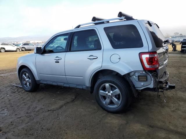 2011 Ford Escape Limited