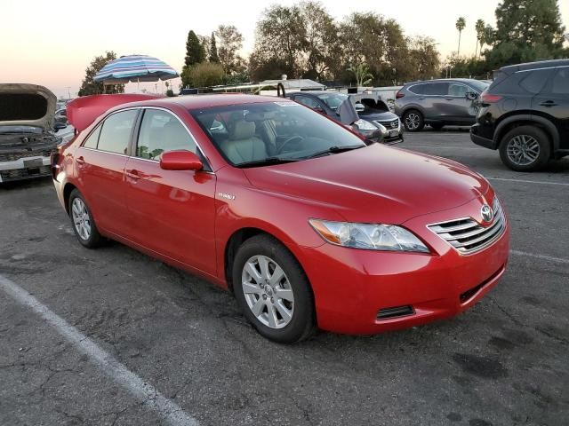 2007 Toyota Camry Hybrid